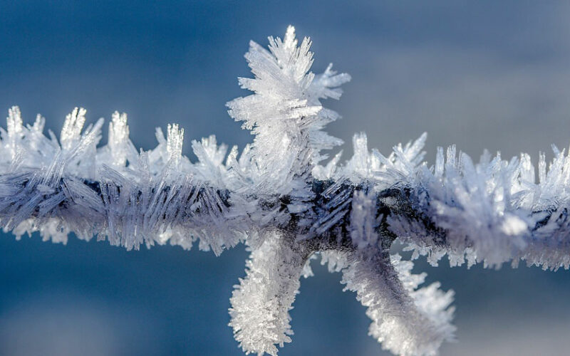 AMBIENTE – Dopo l’inverno ‘bollente’ arriva il gelo. E ora è allarme per ortaggi e frutta