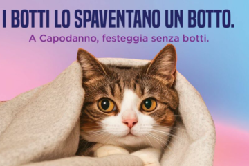 AMBIENTE/SOCIETA’ – Capodanno, Roma dice no ai botti: si può festeggiare rispettando l’ambiente