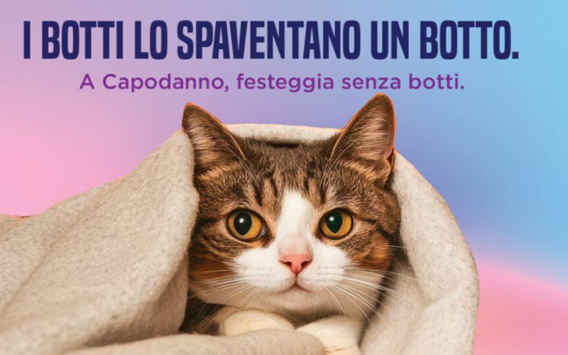 AMBIENTE/SOCIETA’ – Capodanno, Roma dice no ai botti: si può festeggiare rispettando l’ambiente