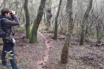 AMBIENTE & NATURA – Nel Parco dei monti Ausoni e lago di Fondi parte una campagna di studio, ricerca e monitoraggio della fauna selvatica