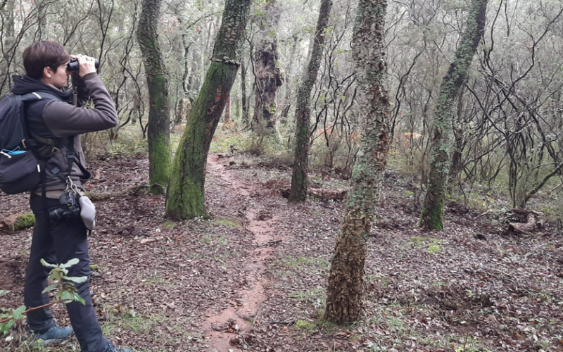 AMBIENTE & NATURA – Nel Parco dei monti Ausoni e lago di Fondi parte una campagna di studio, ricerca e monitoraggio della fauna selvatica