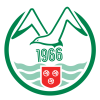 club logo